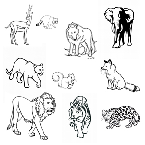 imagini de colorat animale salbatice